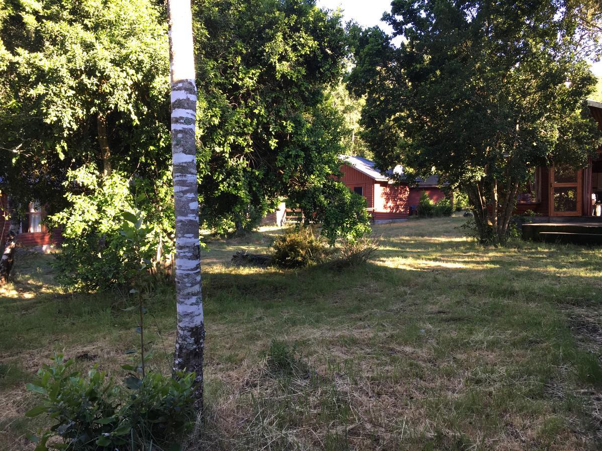 Cabanas Huelquehue Villa Lican Ray Esterno foto